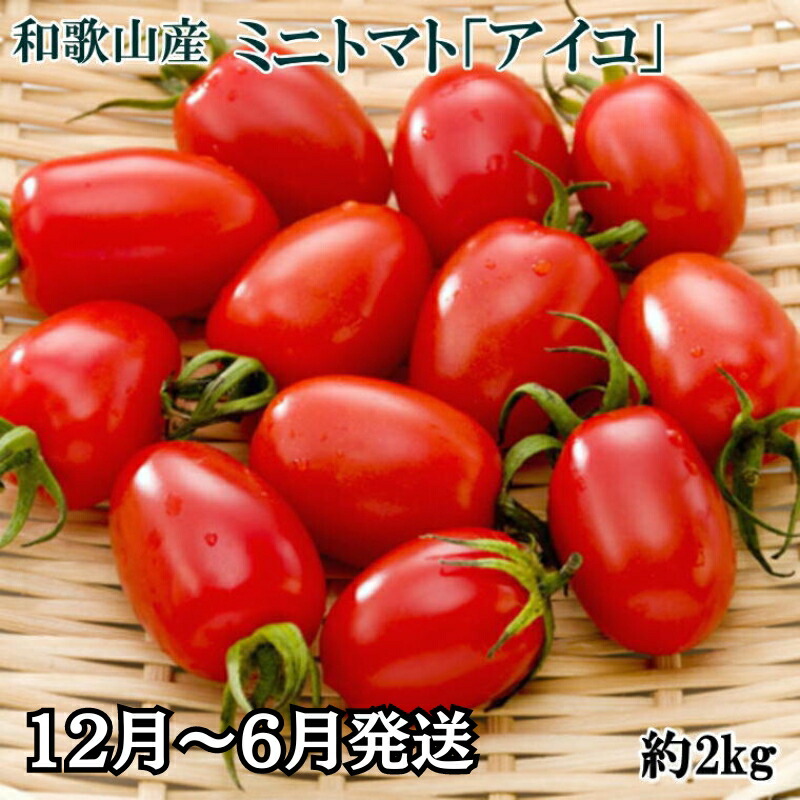 【ふるさと納税】和歌山産ミニトマト「アイコトマト」約2kg（S・Mサイズおまかせ） ※北海道、沖縄、離島には配送不可 ※5月～6月に順次発送予定 / トマト 野菜 サラダ ベジタブル //vegi