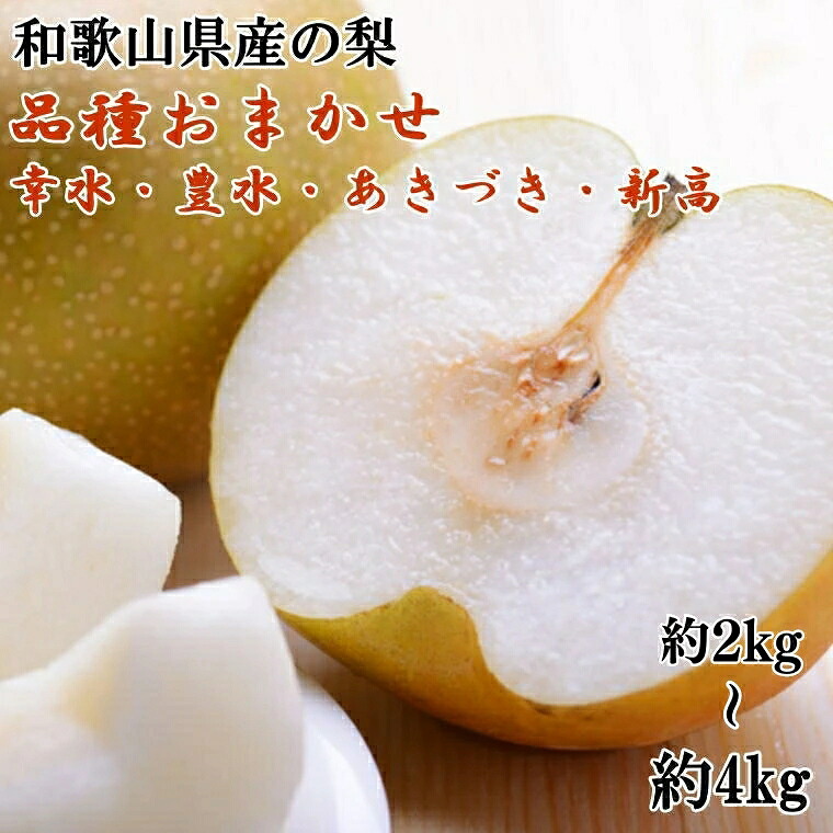【ふるさと納税】 和歌山県 産の 梨 約2kg 約4kg (品種おまかせ) / なし 甘い 柑橘 和歌山 ※2026年8月下旬～9月下旬頃に順次発送予定 ※着日指定不可 //hokaf