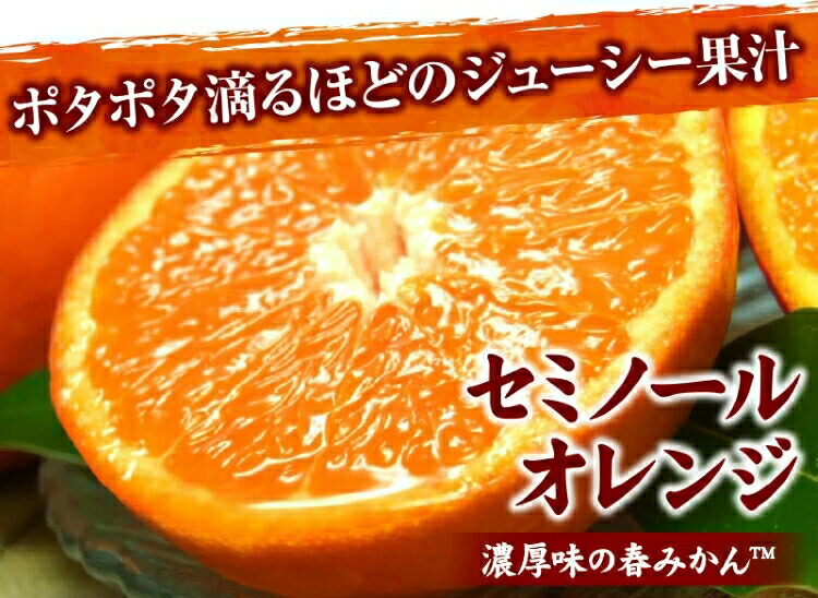 【ふるさと納税】 セミノール オレンジ 3kg 5kg サイズおまかせ ※2027年4月中旬～5月下旬頃に順次発送予定(お届け日指定不可) /みかん 果物 くだもの 柑橘 フルーツ 和歌山 //hassaku｜和歌山県広川町