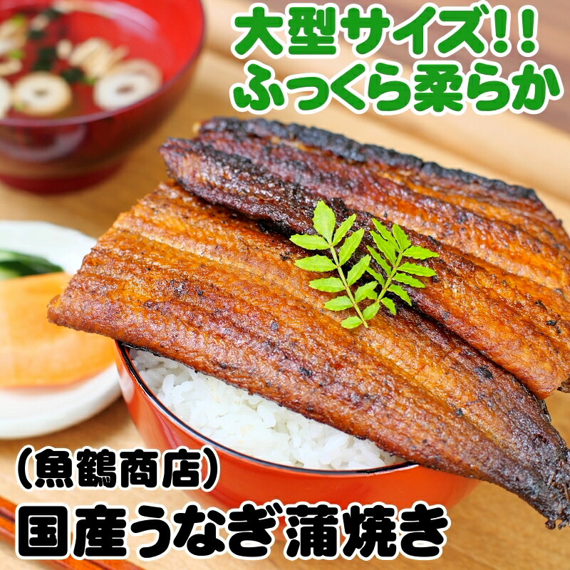 【ふるさと納税】 うなぎ 蒲焼 国産 大型サイズ / 国産うなぎ 蒲焼き うな丼 うな重 ※離島への配送不可 //fish｜和歌山県広川町