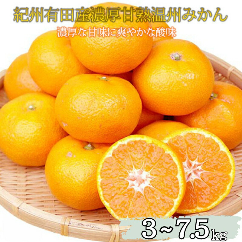 【ふるさと納税】 【濃厚完熟】 紀州有田産 温州 みかん ※2026年11月下旬頃～翌年1月下旬頃に順次発送予定 ※離島への配送不可 / 有田みかん 甘い 柑橘 和歌山 //mandarin｜和歌山県広川町 8,030円