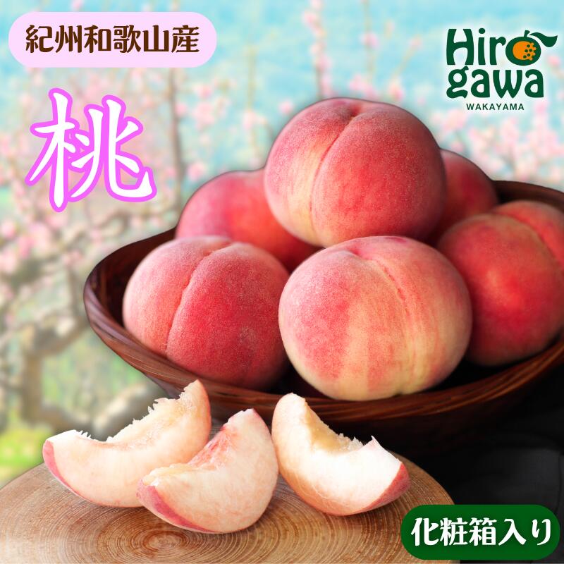 【ふるさと納税】 桃 化粧箱入 / もも 甘い 高級 和歌山 10000円 ※6月下旬~8月上旬に順次発送 ※離島への配送不可 //hokaf|和歌山県広川町