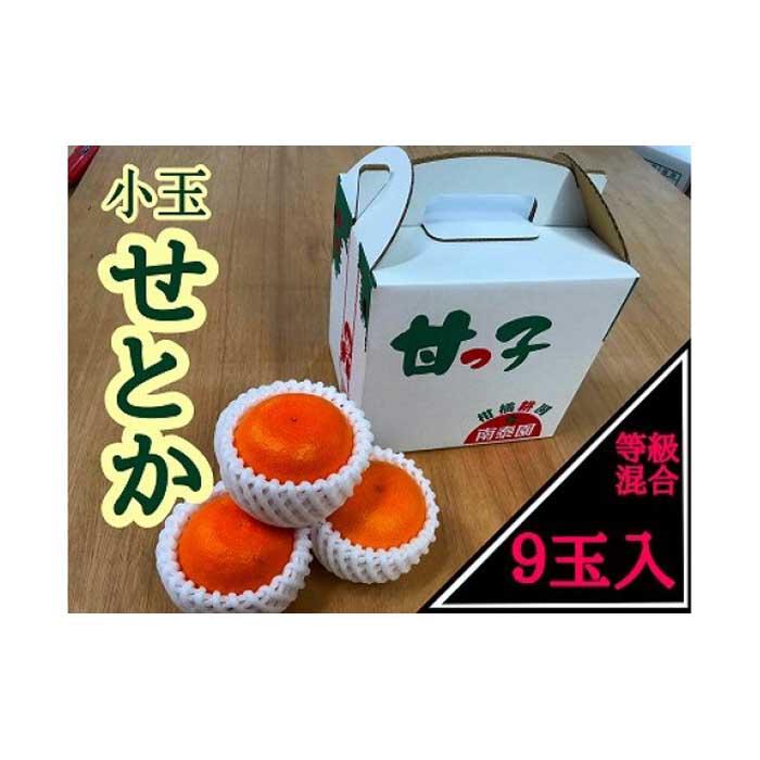 【ふるさと納税】甘っ子 小玉 ハウス せとか 9玉入 手さげ箱 南泰園