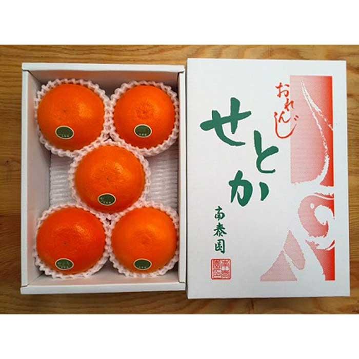【ふるさと納税】ハーフ 化粧箱 柑橘の大トロ ハウス せとか 厳選 5玉入 南泰園