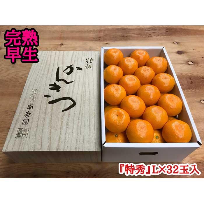【ふるさと納税】年内発送 完熟早生 有田みかん 化粧箱 特秀 L サイズ 32玉入 和歌山 南泰園 みかん | 農家直送 直送 大玉 有田 和歌山 フルーツ 果物 温室 南泰園 甘い 濃厚 ジューシー コク お取り寄せ グルメ 糖度 贈答 化粧箱 生産者 選別 特秀 人気 おすすめ