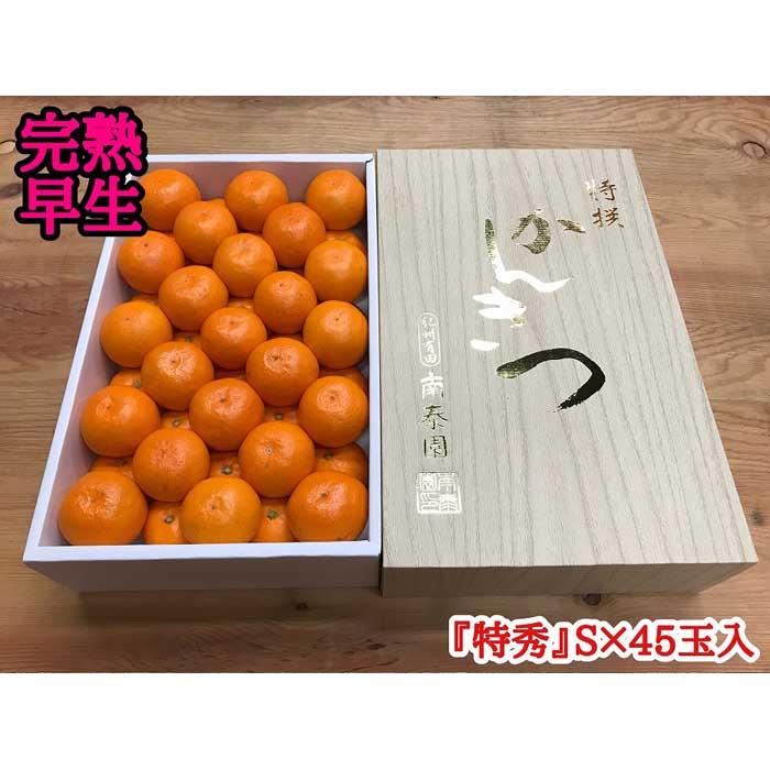 【ふるさと納税】年内発送 完熟早生 有田みかん 化粧箱 特秀 S サイズ 45玉入 和歌山 南泰園 みかん | フルーツ 果物 くだもの 食品 人気 おすすめ 送料無料
