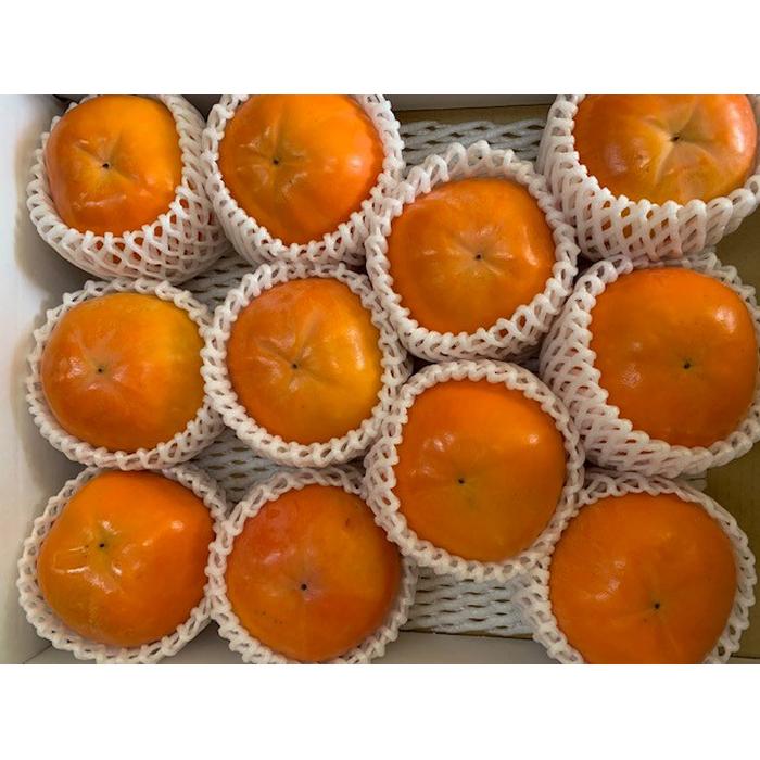 【ふるさと納税】富有柿 赤秀品 2Lサイズ 化粧箱（11個）