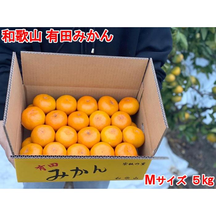 【ふるさと納税】［秀品・サイズＭ］まる隆果樹園　和歌山有田産！早生みかん≪5ｋｇ≫［予約販売］［数量限定］