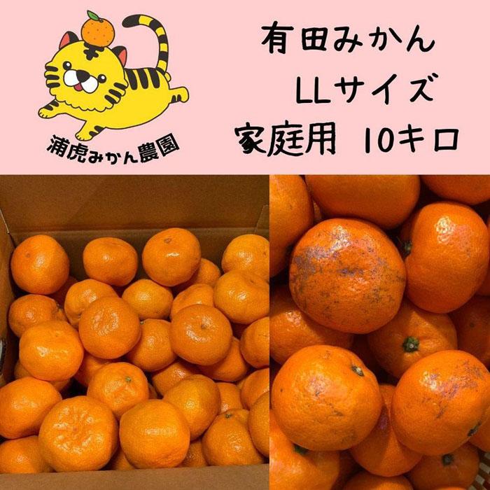 【ふるさと納税】温州みかん 家庭用10kg（2Lサイズ指定） 大きいミカンが好きな人におすすめ