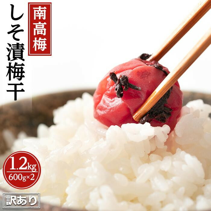 【ふるさと納税】訳ありしそ漬梅干（紀州南高梅）1.2kg（600g&times;2）塩分15％｜和歌山県有田川町