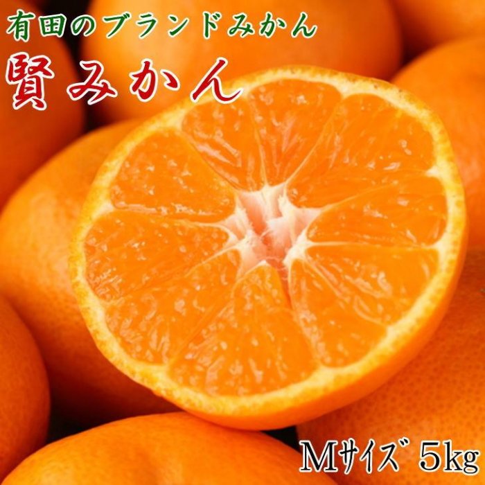 【ふるさと納税】 [秀品]有田のブランド「賢みかん」5kg(Mサイズ) 【2025年11月中旬頃より順次発送】 | 先行予約 和歌山 果物 くだもの フルーツ 柑橘 蜜柑 ブランド 取り寄せ ご当地 期間限定 【2023年11月中旬頃より順次発送】