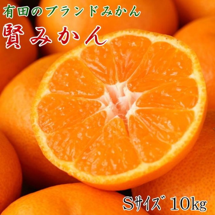 【ふるさと納税】[秀品]有田のブランド「賢みかん」10kg(Sサイズ)【2025年11月中旬頃より順次発送】