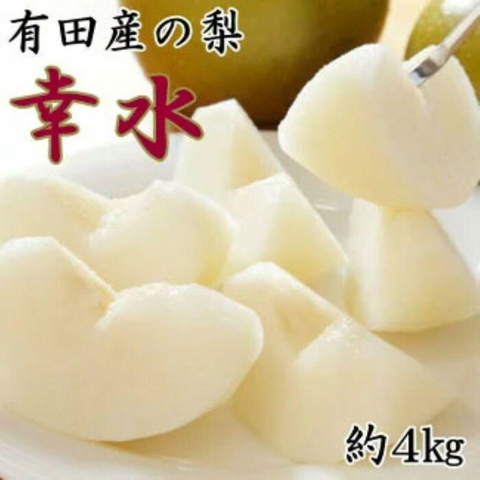 【ふるさと納税】[厳選・産直]有田産の梨(幸水)約4kg★2025年8月より順次発送 | 先行予約 果物 くだもの フルーツ なし 人気 美味しい おすすめ お取り寄せ グルメ 期間限定 数量限定 産直 産地直送