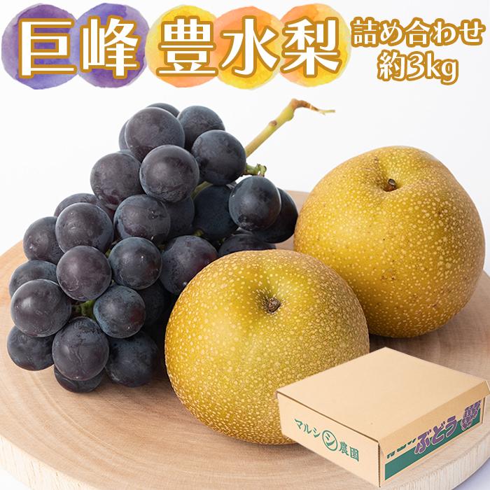 【ふるさと納税】巨峰、豊水梨　詰め合わせ　約3kg箱 | 果物 フルーツ ぶどう ブドウ 葡萄 産直 産地直送 おすすめ お取り寄せ 先行予約 期間限定 数量限定