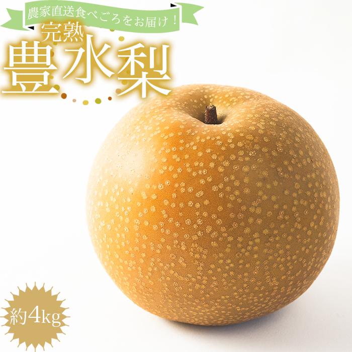 【ふるさと納税】【先行予約】農家直送食べ頃をお届け！豊水梨　約４ｋｇ | 果物 フルーツ 有田巨峰村 有田川町産 和歌山産 秋 くだもの 食品 人気 おすすめ 送料無料