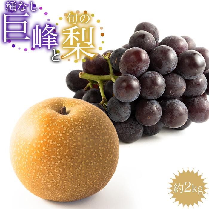 【ふるさと納税】種なし巨峰と旬の梨　約２kg | 果物 フルーツ ぶどう 葡萄 ブドウ 幸水 豊水 南水 秋月 有田巨峰村 有田川町産 和歌山産 くだもの 食品 人気 おすすめ 送料無料