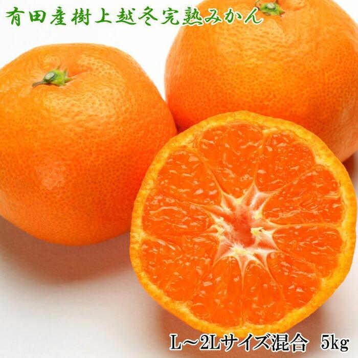 【ふるさと納税】【濃厚・まろやか】有田産樹上越冬完熟みかん5kg（L～2Lサイズ混合・秀品）★2026年1月下旬頃より順次発送