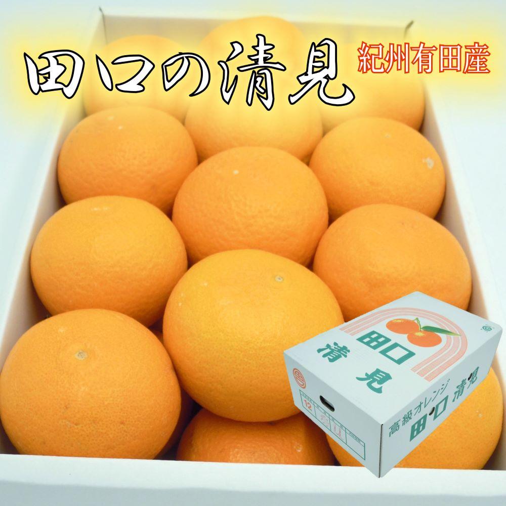 【ふるさと納税】田口の清見オレンジ 秀品 約5kg L～3L（30玉～18玉） サイズおまかせ 化粧箱入り【2026年2月26日～2026年3月31日頃より順次発送】 | フルーツ 果物 くだもの 食品 人気 おすすめ 送料無料