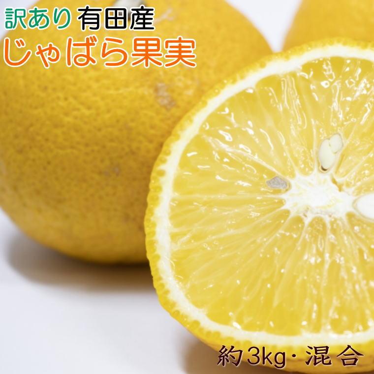 【ふるさと納税】［訳あり品］有田産のじゃばら果実約3kg