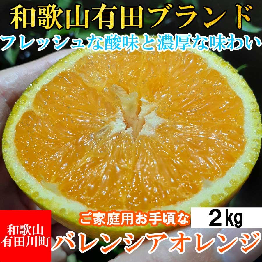 【ふるさと納税】【有田川町】バレンシアオレンジ 2kg バレンシア バレンシャ 和歌山 ブランド 有田みかん ご家庭用