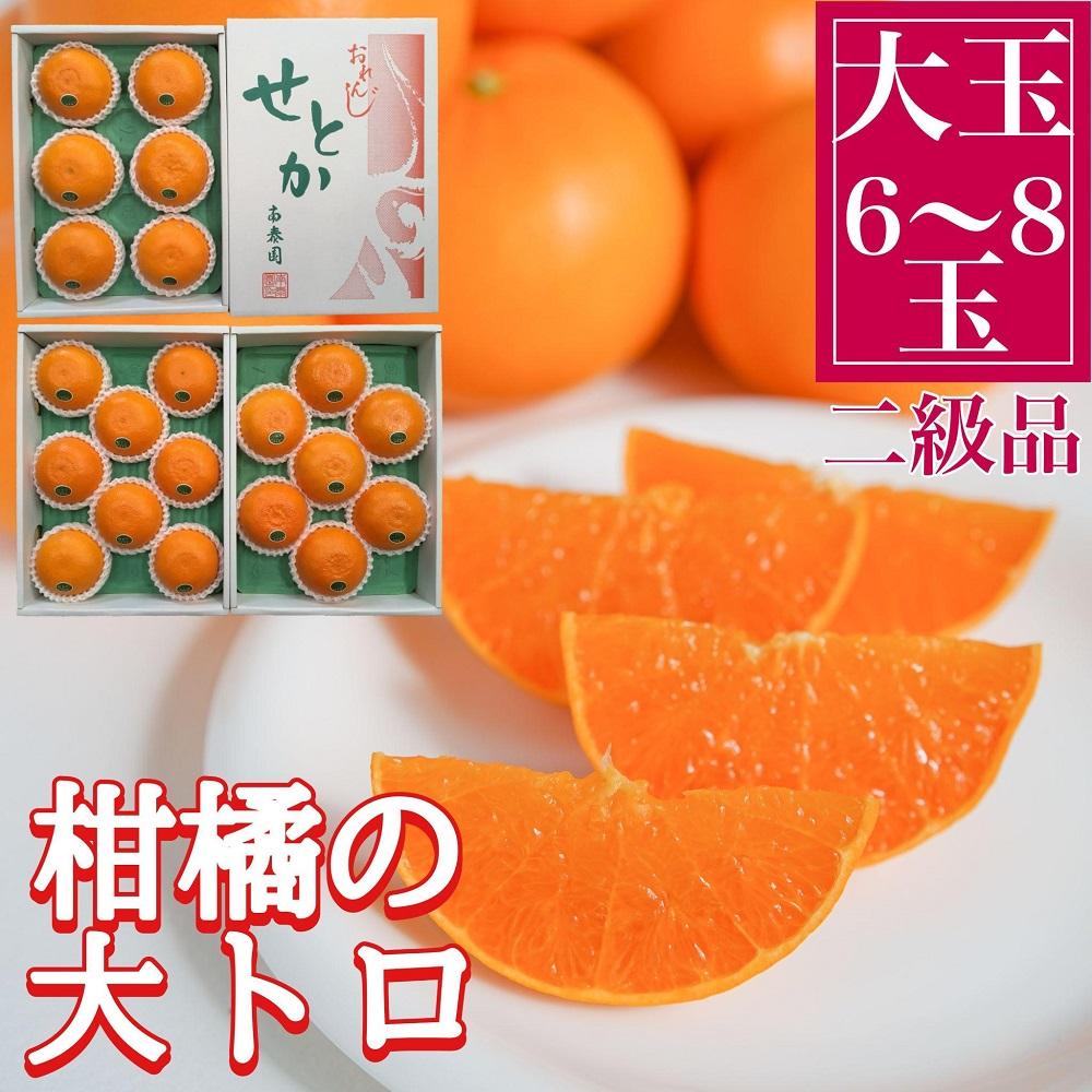 【ふるさと納税】ちょっと 傷あり 柑橘の大トロ ハウス せとか 大玉 6 ～ 8玉入 化粧箱 南泰園