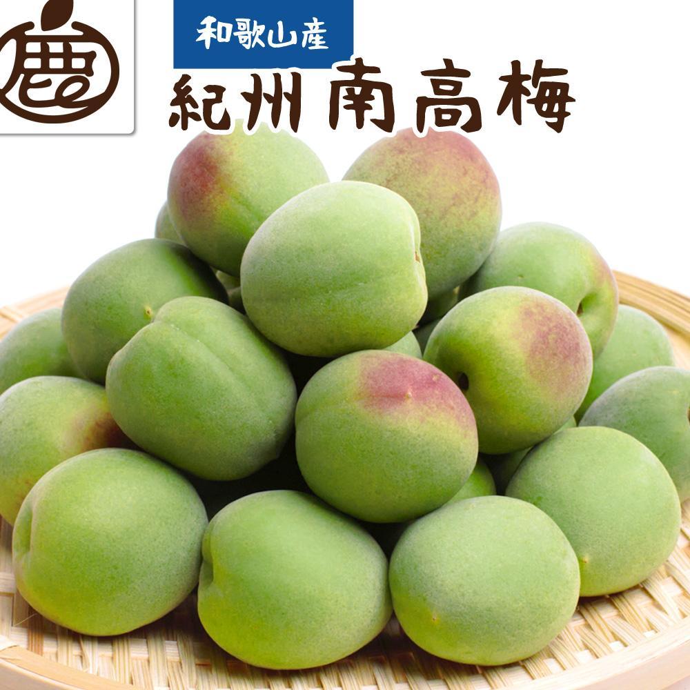 【ふるさと納税】＜6月発送＞ 厳選 青梅1.2kg+36g（傷み補償分）和歌山産　梅干し 梅酒 梅ジュース