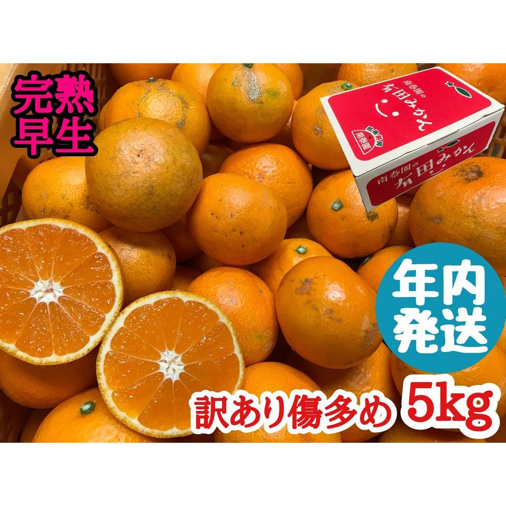 有田みかん - 専用出品です 楽天市場】【ふるさと納税】年内発送 訳あり 傷多め 完熟早生