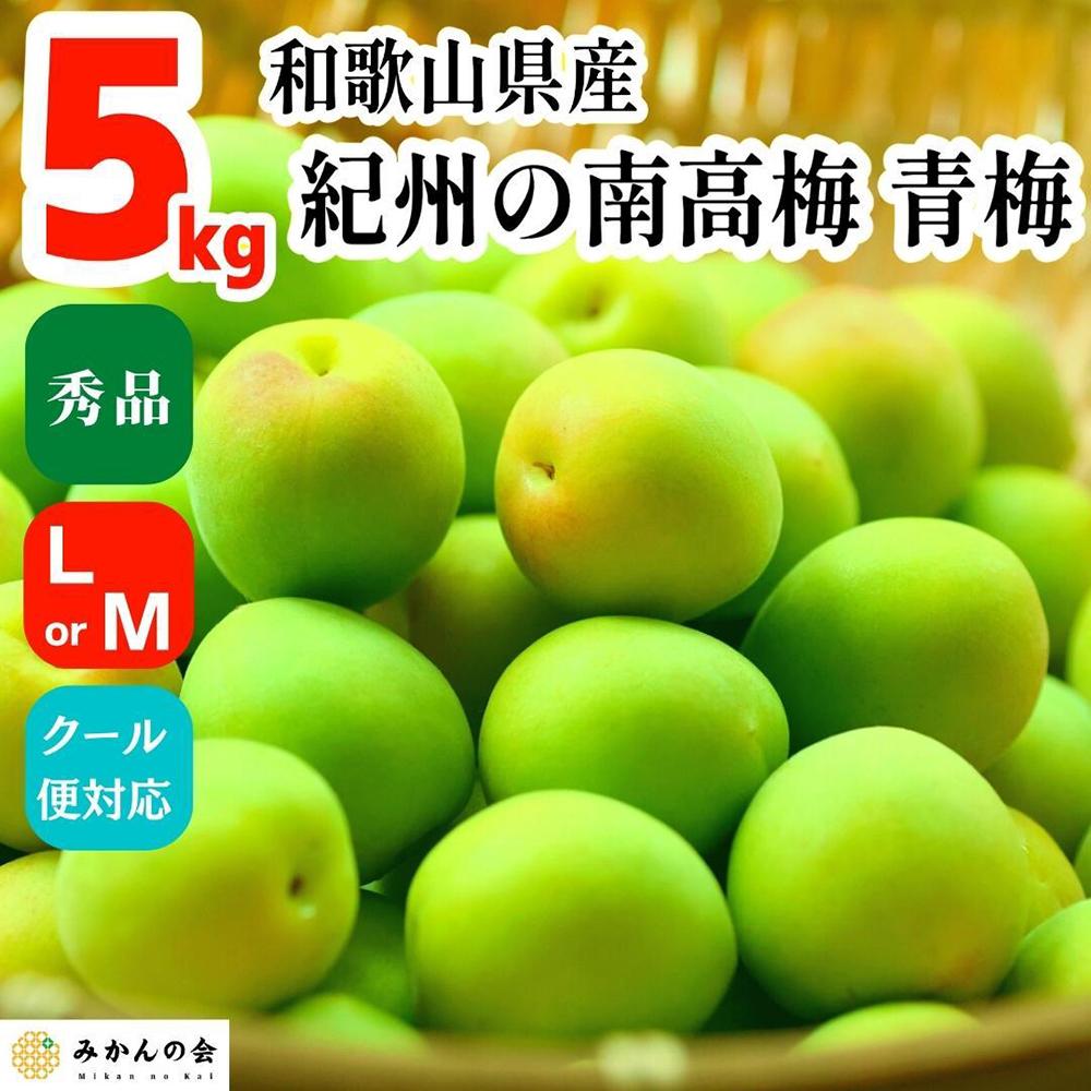 楽天市場】【ふるさと納税】有田 南高梅 5kg 生梅 秀品 A品 | 和歌山