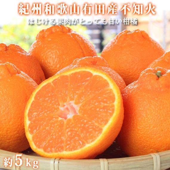 【ふるさと納税】紀州有田産不知火(しらぬひ) 約５kg［2026年2月中旬以降発送］［先行予約］［UT40w］ | 先行予約 和歌山 果物 くだもの フルーツ 柑橘 不知火 しらぬい ブランド 取り寄せ ご当地 期間限定