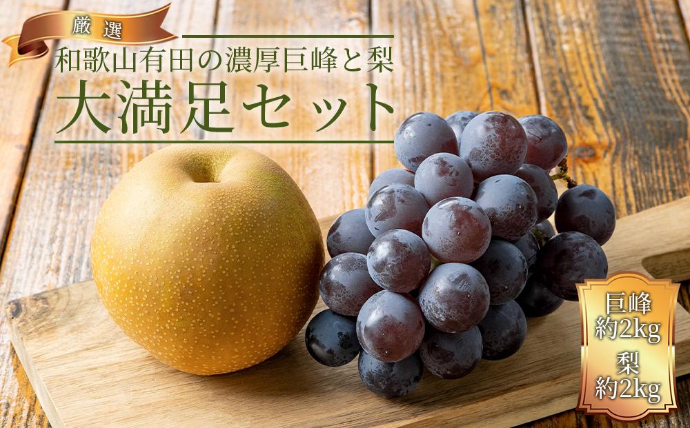【ふるさと納税】農家直送 和歌山有田の濃厚 巨峰 と 梨 大満足セット【先行予約】 | 先行予約 和歌山 果物 くだもの フルーツ 巨峰 ぶどう 梨 合計4kg ブランド 取り寄せ ご当地 期間限定