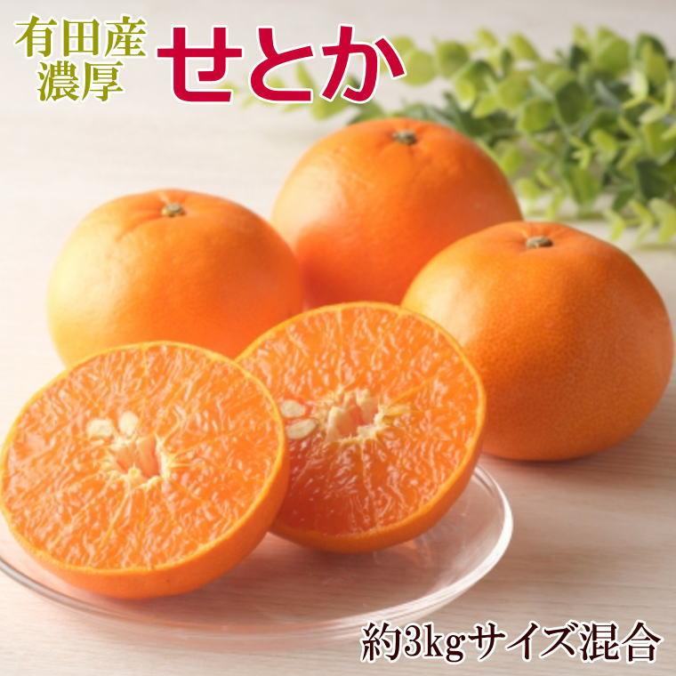 【ふるさと納税】一度は食べていただきたい「有田産のせとか」約3kg（サイズ混合）★2027年2月中旬頃より順次発送