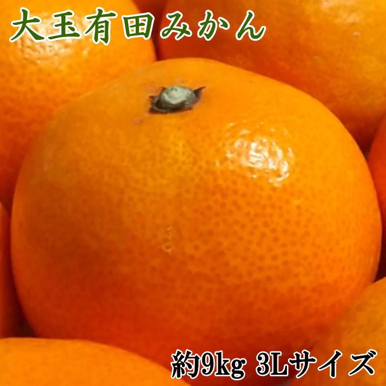 【ふるさと納税】［食べごたえ十分］和歌山有田みかん大玉約9kg(3Lサイズ・秀品）★2026年11月中旬頃より順次発送 | 有田川町 柑橘 大粒 秀品 甘味 家庭用 人気 おすすめ フルーツ 和歌山県産 産地直送 お取り寄せ 送料無料 ふるさと納税｜和歌山県有田川町