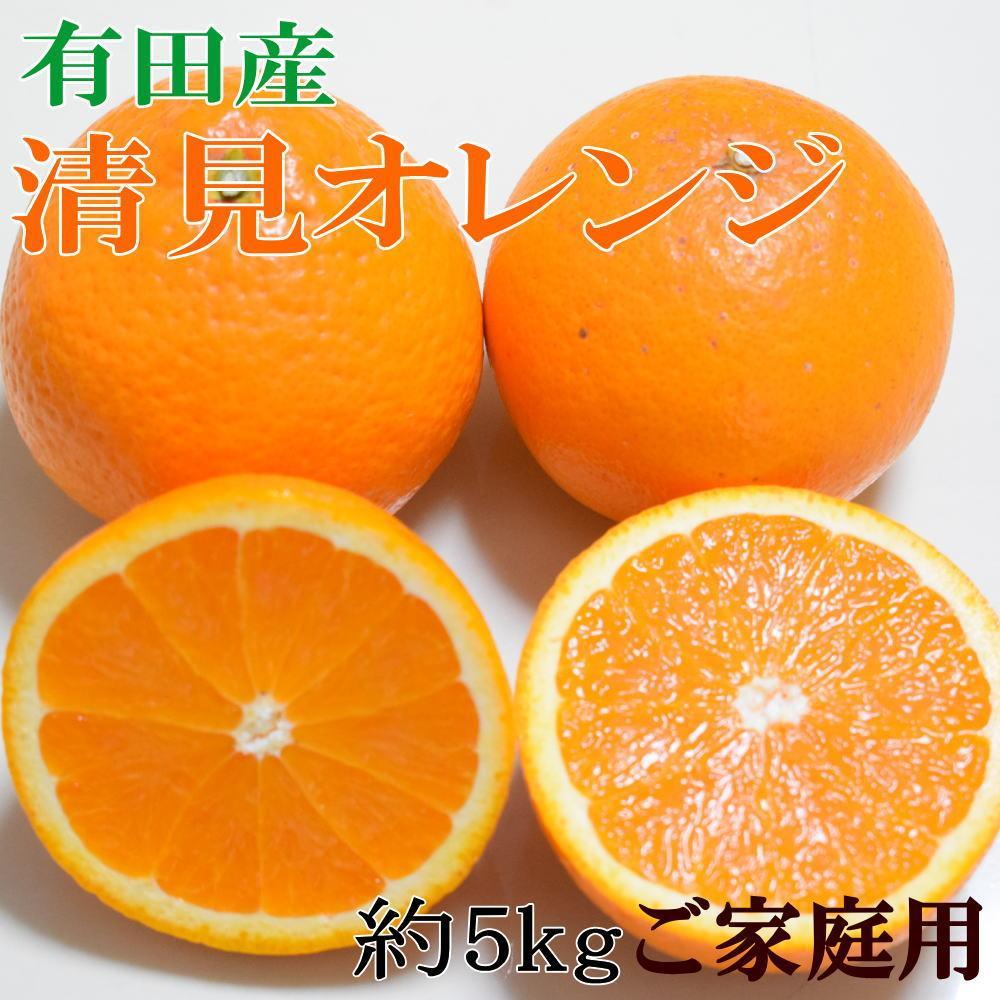 【ふるさと納税】［濃厚］有田産清見オレンジ約5kg（サイズおまかせ・ご家庭用）★2026年2月下旬頃より順次発送［TM151w］ | フルーツ 果物 くだもの 食品 人気 おすすめ 送料無料