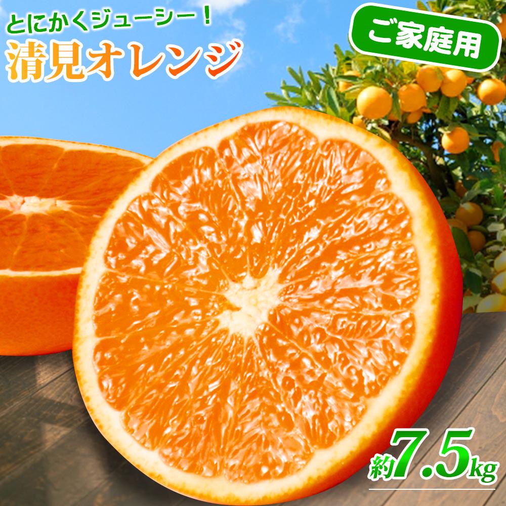 【ふるさと納税】［ご家庭用訳アリ］紀州有田産清見オレンジ　7.5kg［2026年3月下旬以降発送］［先行予約］［UT54w］ | みかん ミカン 甘い フルーツ ジューシー 産地直送 和歌山 送料無料 果物 わかやま 本場 ふるさと納税 ふるさと 応援 寄付 先行予約 期間限定 返礼品