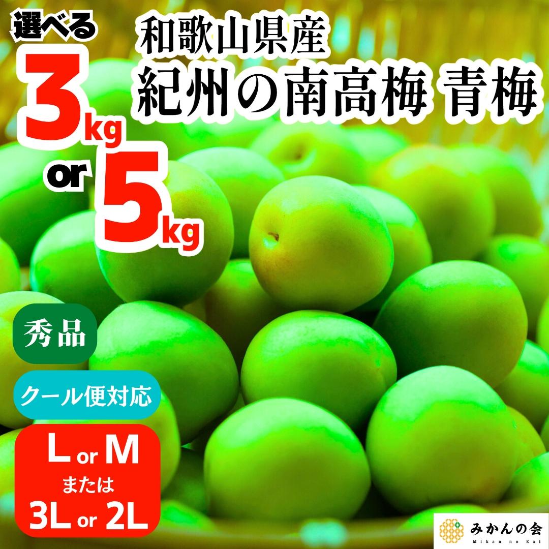 【ふるさと納税】【2025年6月上旬出荷】青梅 南高梅 秀品  和歌山県産 A品 梅酒作り用 梅ジュース作り用 | 梅 うめ 南高梅 完熟 生梅 秀品 和歌山県 梅酒用 梅干用 梅シロップ 梅ジャム 送料無料 お土産 取り寄せ