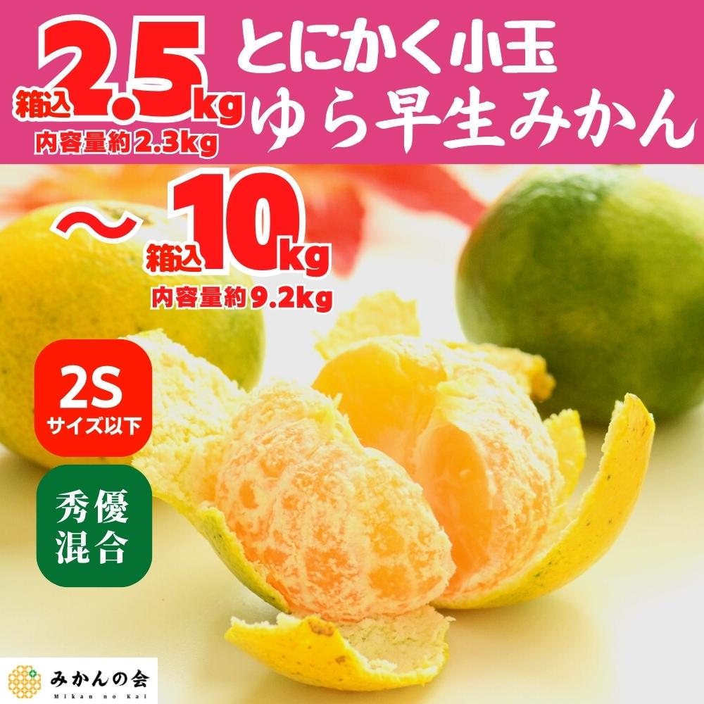 【ふるさと納税】ゆら早生 みかん 小玉ちゃん 箱込 2.5～10kg 2Sサイズ以下 秀優混合 有田みかん 和歌山県産 【みかんの会】 | 和歌山 フルーツ 果物 くだもの かんきつ 柑橘 柑橘類  みかんの会  送料込み 送料無料