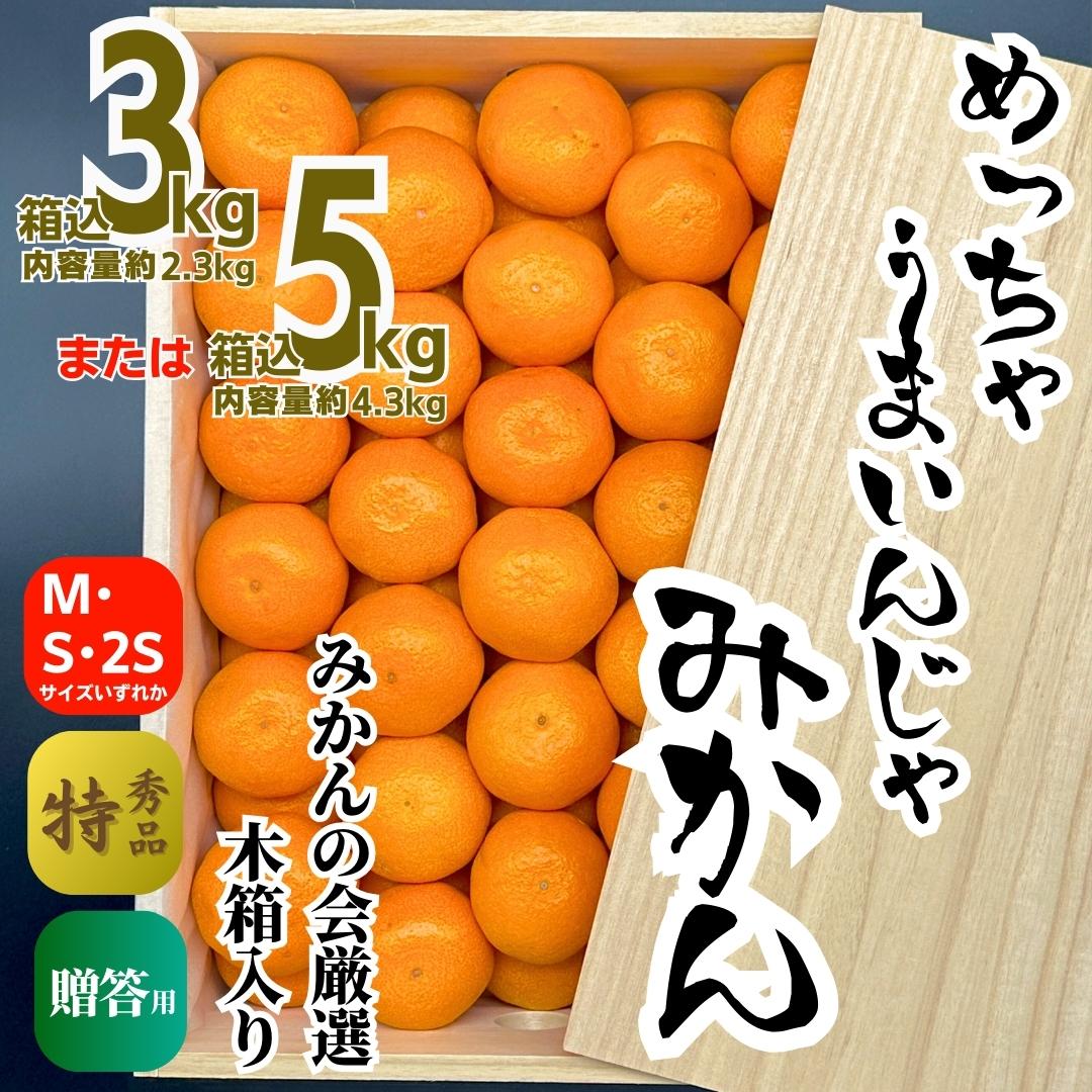 【ふるさと納税】みかん めっちゃうまいんじゃ 木箱入 3kg または 5kg みかんの会厳選 特選品 M S 2S サイズのいずれか 和歌山県産 産地直送 S品 贈答用 【みかんの会】 | フルーツ 果物 くだもの 食品 人気 おすすめ 送料無料