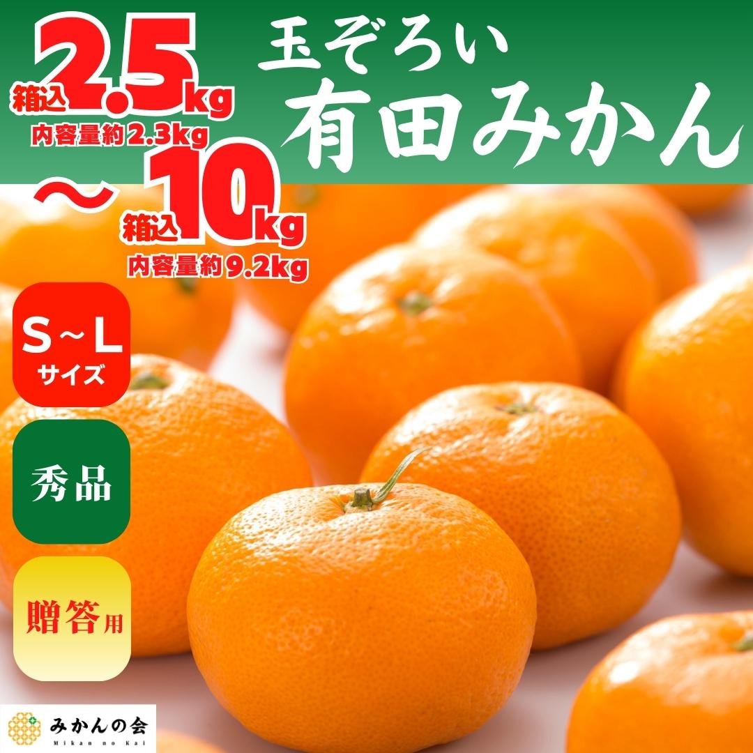 【ふるさと納税】みかん S～Ｍサイズ 秀品 箱込 2.5kg～10kg 有田みかん 和歌山県産 産地直送 贈答用 【みかんの会】 | フルーツ 果物 くだもの 食品 人気 おすすめ 送料無料