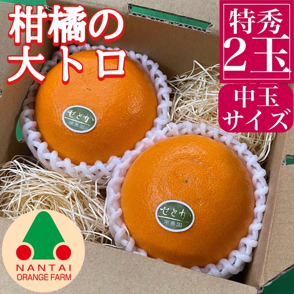 【ふるさと納税】お試し規格 柑橘の大トロ ハウス せとか 厳選 中玉 2玉入 手さげ箱 南泰園 和歌山 有田 | フルーツ 果物 くだもの 食品 人気 おすすめ 送料無料｜和歌山県有田川町