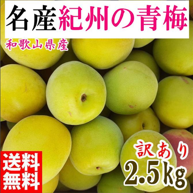 【ふるさと納税】青梅 2.5kg 紀州南高梅 シロップ・梅酒・梅干し用など 和歌山県有田産 訳あり 2025年5月下旬～7月上旬発送予定 | 梅 うめ 南高梅 完熟 生梅 秀品 和歌山県 梅酒用 梅干用 梅シロップ 梅ジャム 送料無料 お土産 取り寄せ