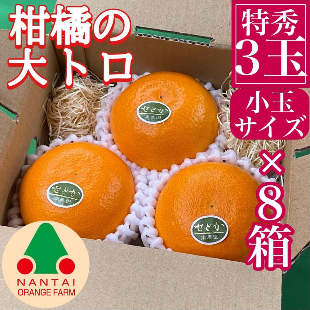 【ふるさと納税】お試し規格 柑橘の大トロ ハウス せとか 厳選 小玉 3玉入 手さげ箱 &times; 8箱 南泰園 和歌山 有田 | フルーツ 果物 くだもの 食品 人気 おすすめ 送料無料｜和歌山県有田川町