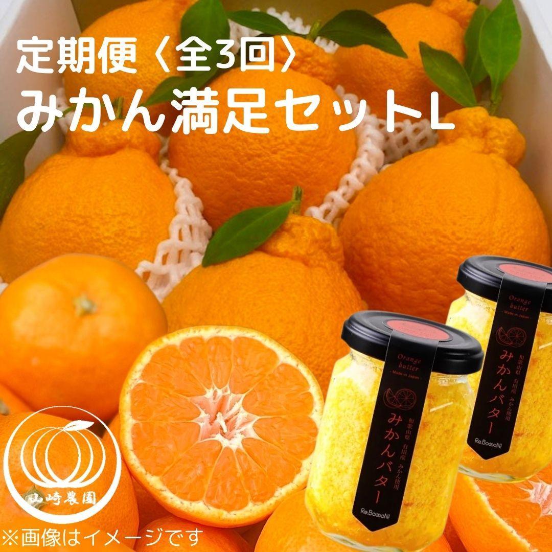 【ふるさと納税】みかん満足セットL | 定期便 全3回 フルーツ みかん 不知火 みかんバター 12月~2月 | みかん 蜜柑 フルーツ 果物 くだもの 食品 人気 おすすめ 送料無料 産地直送|和歌山県有田川町