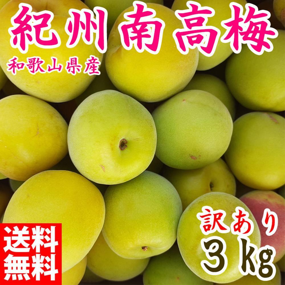 【ふるさと納税】青梅 約3kg 訳あり 紀州南高梅 シロップ・梅酒・梅干し用など 和歌山県有田産 2025年5月下旬～7月上旬発送予定 | うめ 食品 人気 おすすめ 送料無料