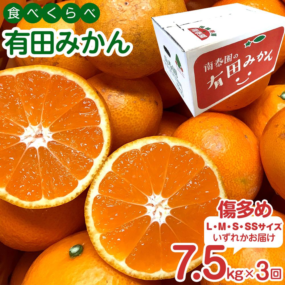 【ふるさと納税】定期便 訳あり 傷多め 7.5kg × 3回 コース 有田みかん 食べくらべ 3種 全3回 南泰園 みかん