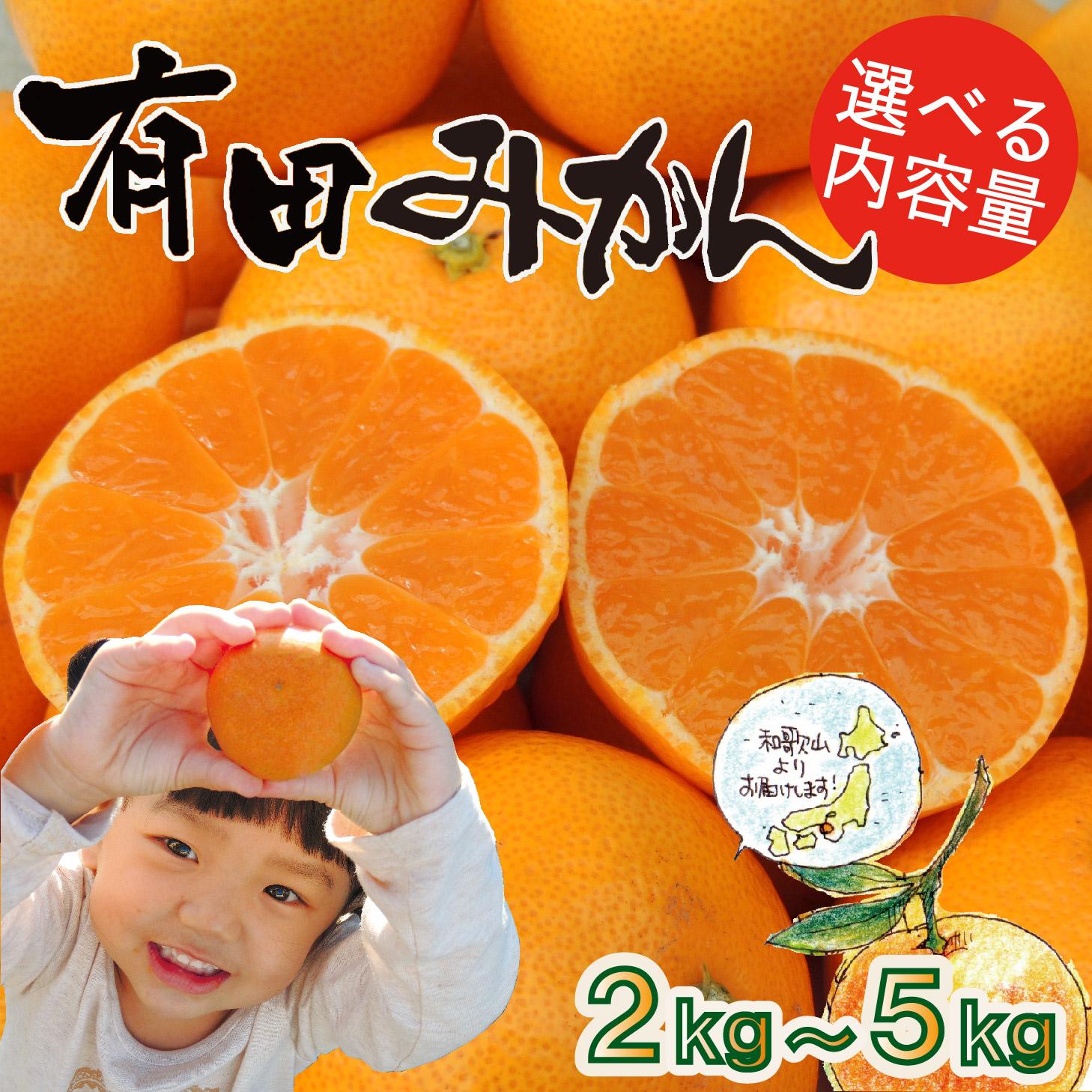 【ふるさと納税】［先行予約］［えらべる内容量（2kg・3kg・5kg）］はじめまして 有田みかん  お試し 和歌山県産 混サイズ ORYY推奨