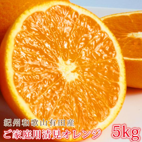 【ふるさと納税】［ご家庭用訳あり］紀州有田産清見オレンジ 約5kg［2026年3月下旬以降発送］［先行予約］［UT132w］ | フルーツ 果物 くだもの 食品 人気 おすすめ 産地直送 送料無料