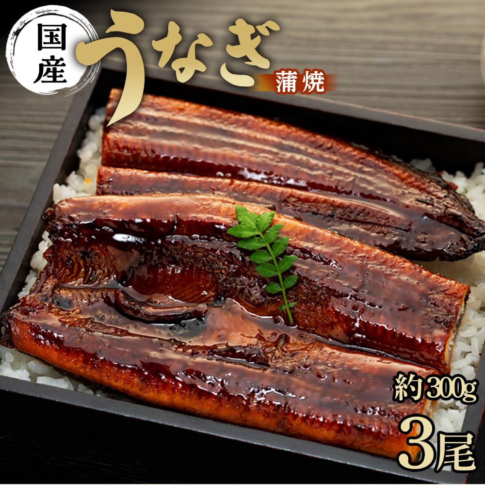 【ふるさと納税】国産 うなぎ蒲焼 3本 セット 合計 約300g 数量限定 | 有田川町 うなぎ蒲焼 人気 おすすめ 鰻 魚介 加工食品 ご飯のお供 贈答用 ギフト 簡単調理 お取り寄せ 送料無料 ふるさと納税|和歌山県有田川町