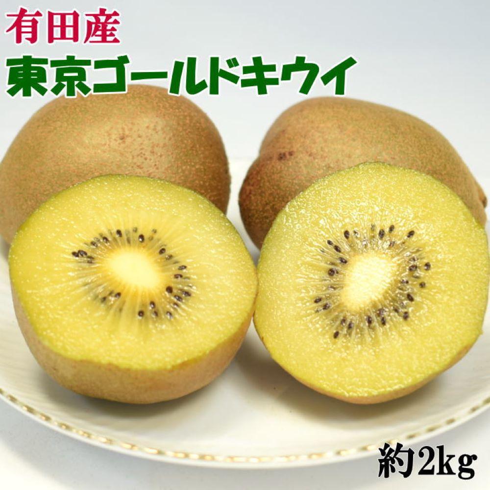 【ふるさと納税】【数量限定】 東京ゴールドキウイ 約2kg サイズ混合★12月上旬頃より順次発送 | キウイ フルーツ キウイフルーツ 果物 くだもの 食品 人気 おすすめ 送料無料