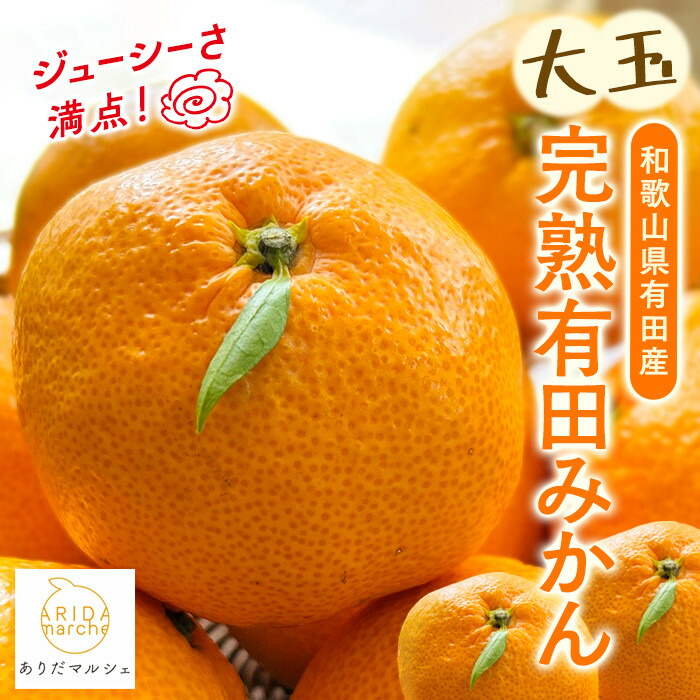 【ふるさと納税】迫力満点 大粒 有田みかん 約10kg［先行予約］［果汁たっぷり］［MS16w］ | みかん 蜜柑 柑橘 和歌山 果物 先行予約 和歌山県産 フルーツ 農家直送 10kg 濃厚 有田 有田川町 ふるさと納税 返礼品 故郷納税
