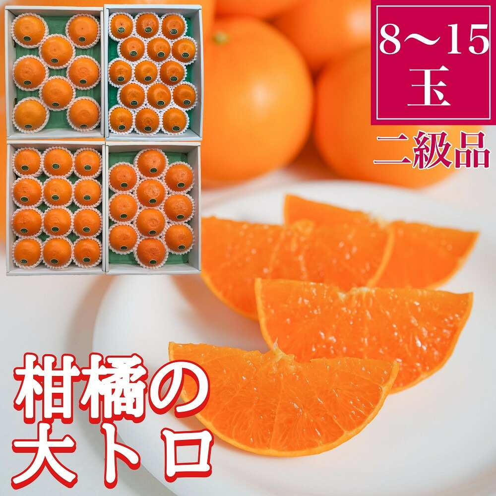 【ふるさと納税】ちょっと 傷あり 柑橘の大トロ ハウス せとか 8 ～ 15玉入 化粧箱 南泰園